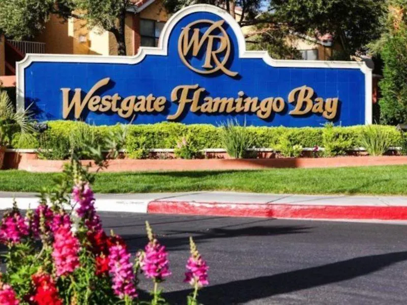 Westgate Flamingo Bay Resort Las Vegas 3*,  Verenigde Staten